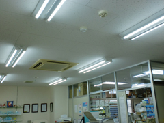 調剤薬局：フレンド薬局 久里浜店
