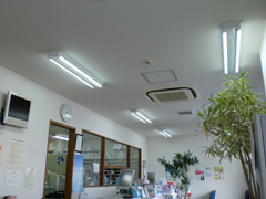 調剤薬局：フレンド薬局 みずほ所沢店